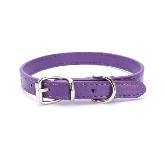 Adjustable Dog Collar with Alloy Buckle - Available in Multiple Colors