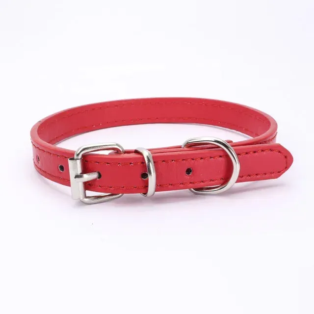 Adjustable Dog Collar with Alloy Buckle - Available in Multiple Colors