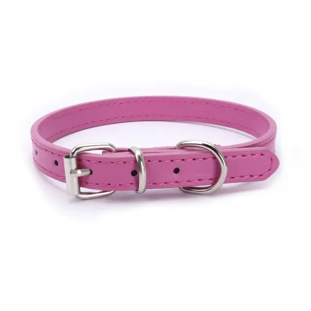 Adjustable Dog Collar with Alloy Buckle - Available in Multiple Colors