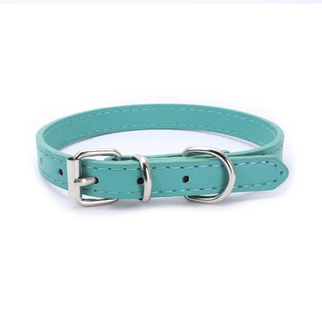 Adjustable Dog Collar with Alloy Buckle - Available in Multiple Colors