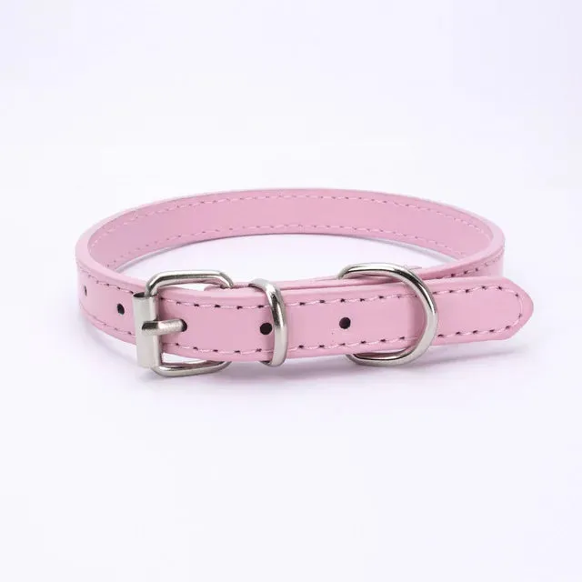 Adjustable Dog Collar with Alloy Buckle - Available in Multiple Colors