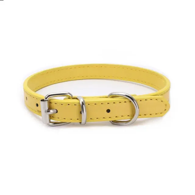 Adjustable Dog Collar with Alloy Buckle - Available in Multiple Colors