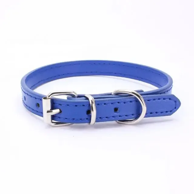 Adjustable Dog Collar with Alloy Buckle - Available in Multiple Colors