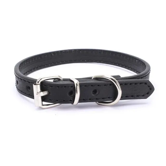 Adjustable Dog Collar with Alloy Buckle - Available in Multiple Colors