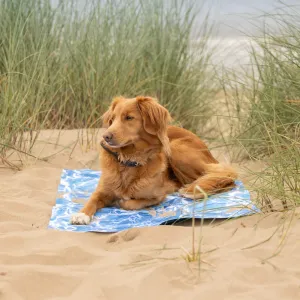 All For Paws Chill Out Cooling Mat