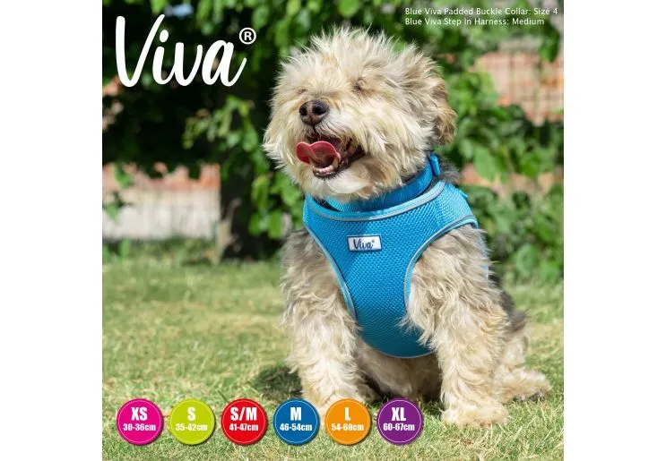 Ancol - Viva Step-in Harness - Lime - Large