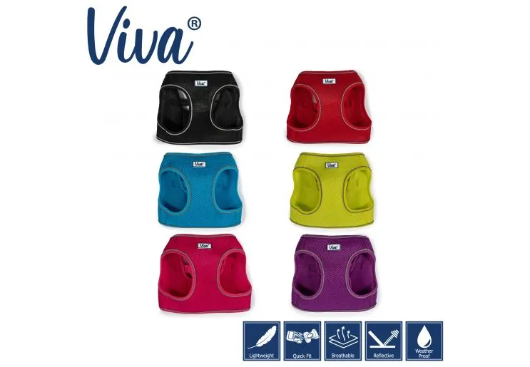 Ancol - Viva Step-in Harness - Lime - X Small