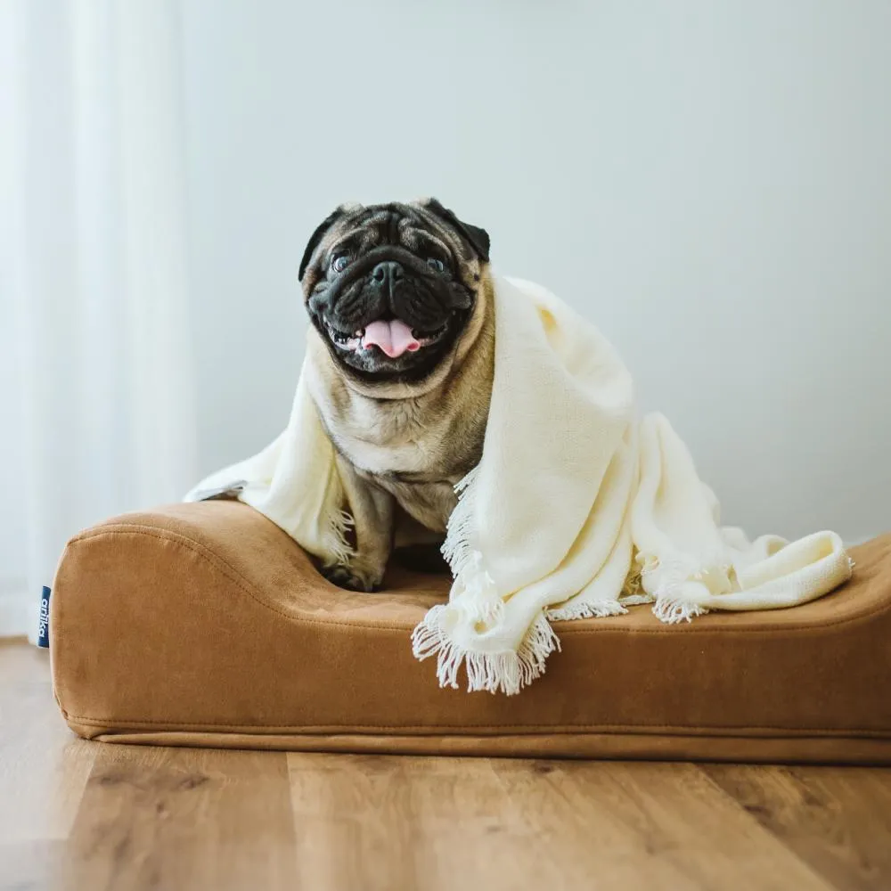 Big Barker Dog Bed