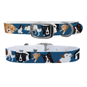 Border Collie Dog Collar With Silver Buckle