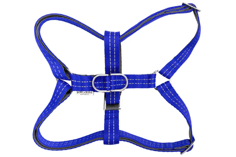 Bowl and Bone Active Blue Dog Harness and Lead Set