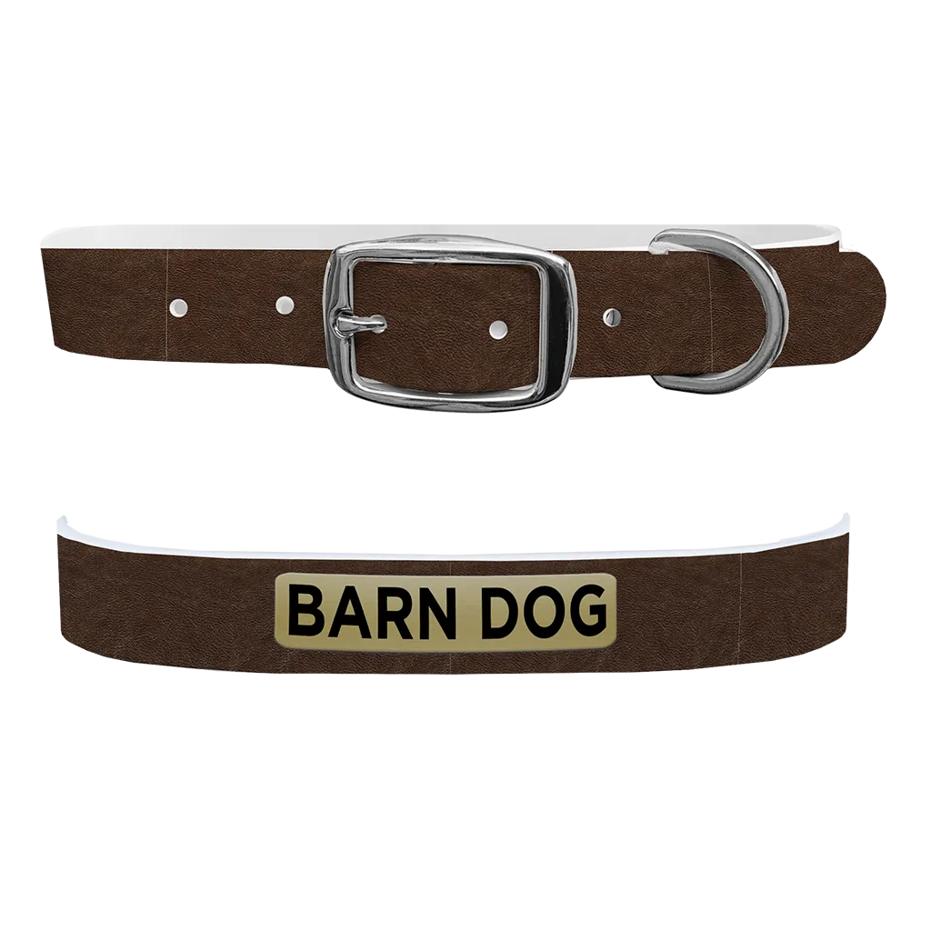 C4 Dog Collar (Barn Dog)