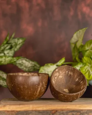 Coconut Shell Bowl  | Snack Bowl | Pack of 2