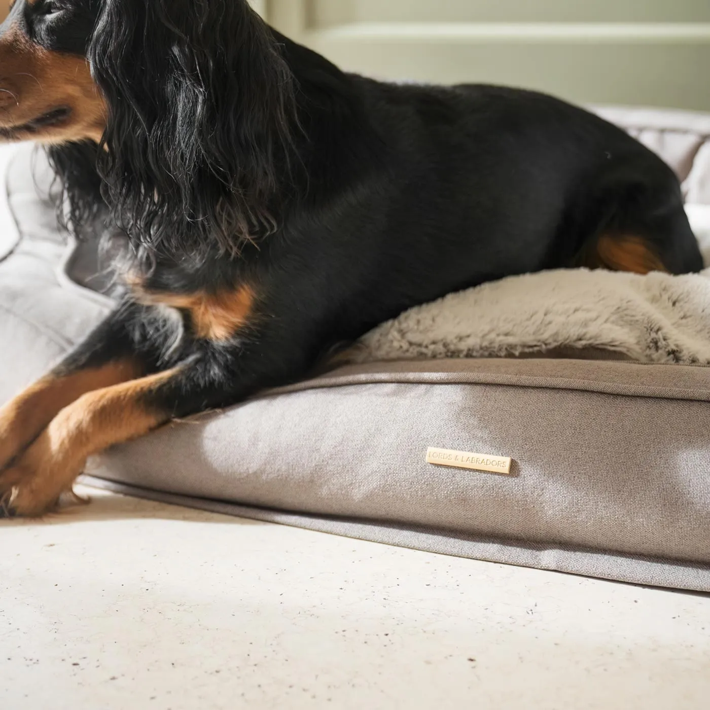 Deep Sleep Dog Bed in Putty by Lords & Labradors