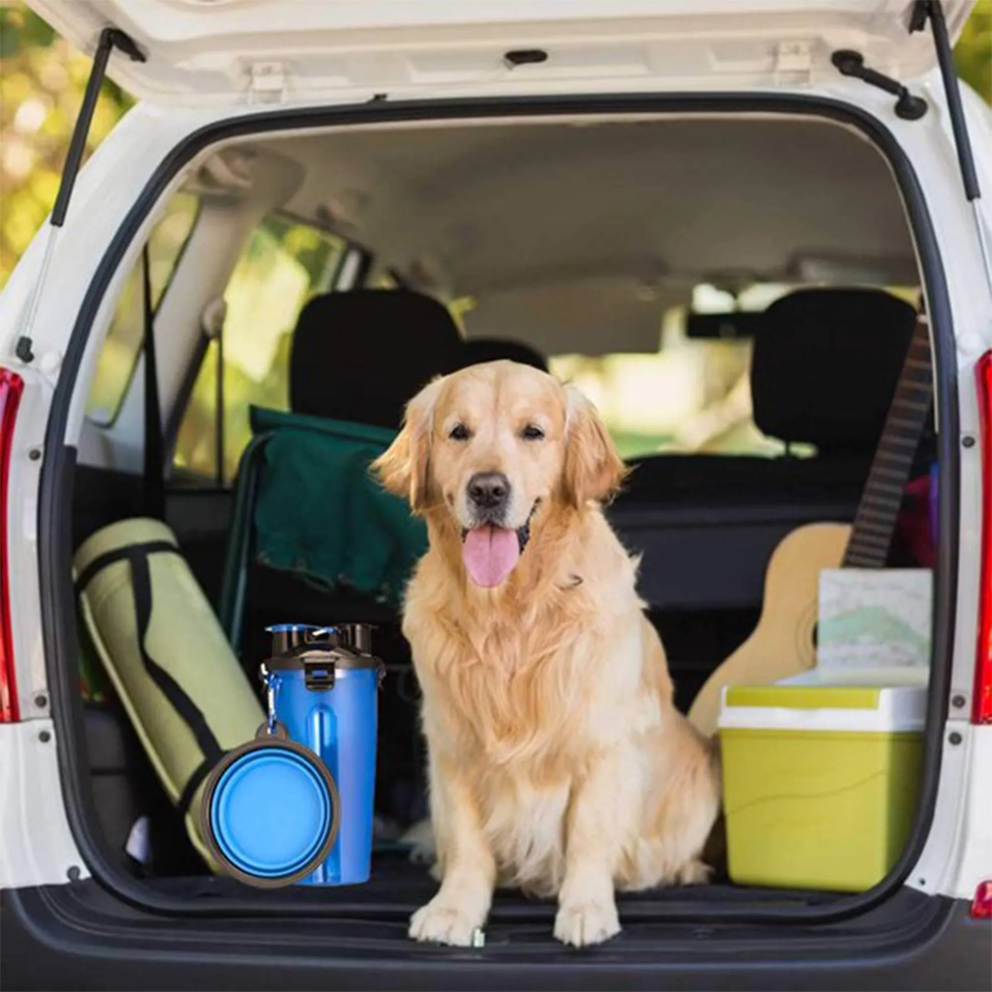 Doggie Duo Portable Food & Water Storage Travel System - Blue