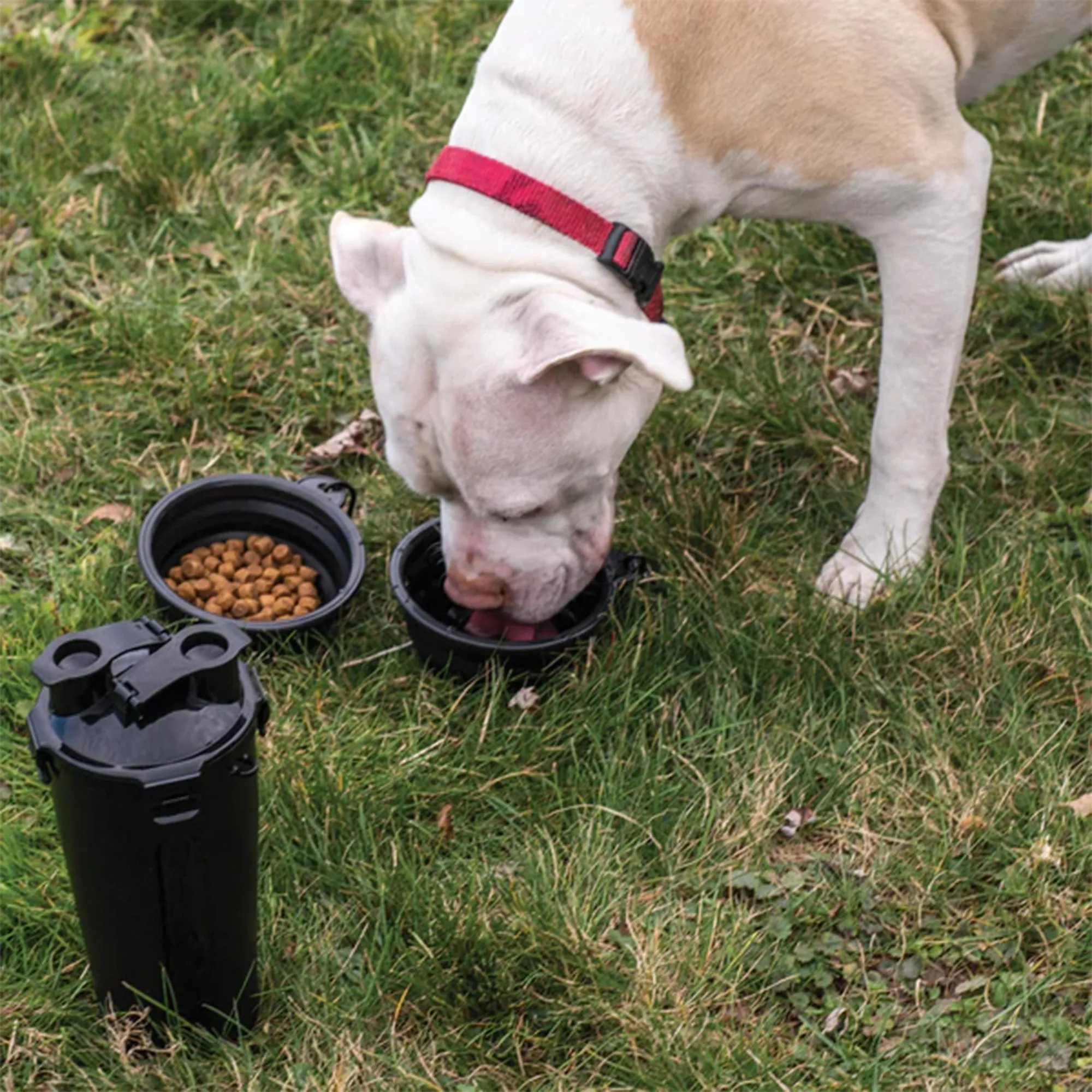 Doggie Duo Portable Food & Water Travel Storage System - Black