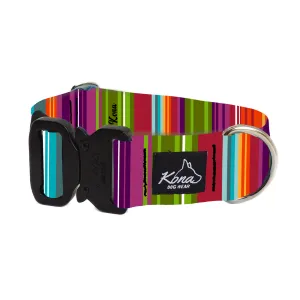 Fiesta Buckle Collar