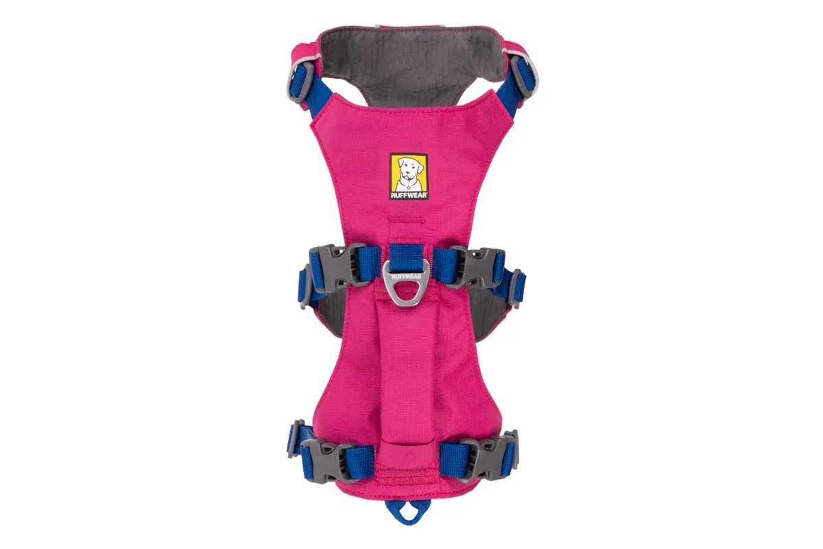 Flagline Harness Alpenglow Pink