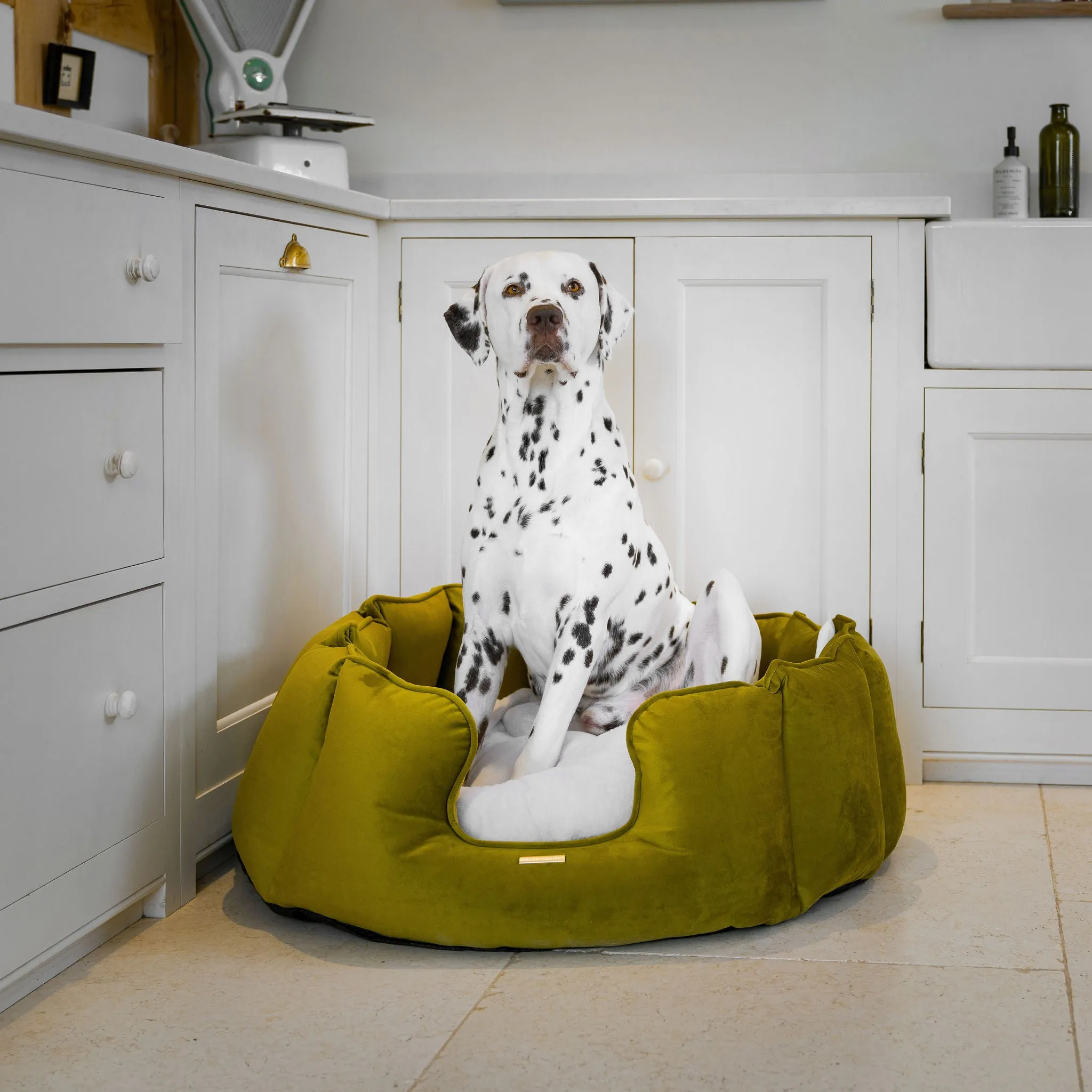 High Wall Bed With Removable Covers in Olive Velvet by Lords & Labradors