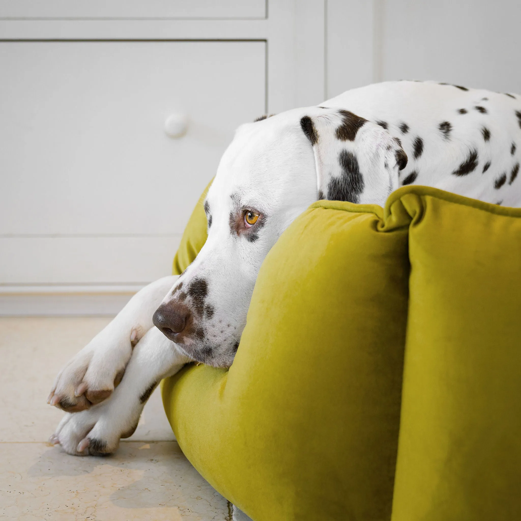 High Wall Bed With Removable Covers in Olive Velvet by Lords & Labradors