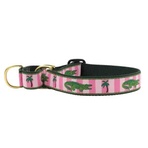 Martingale Collar | Alligator