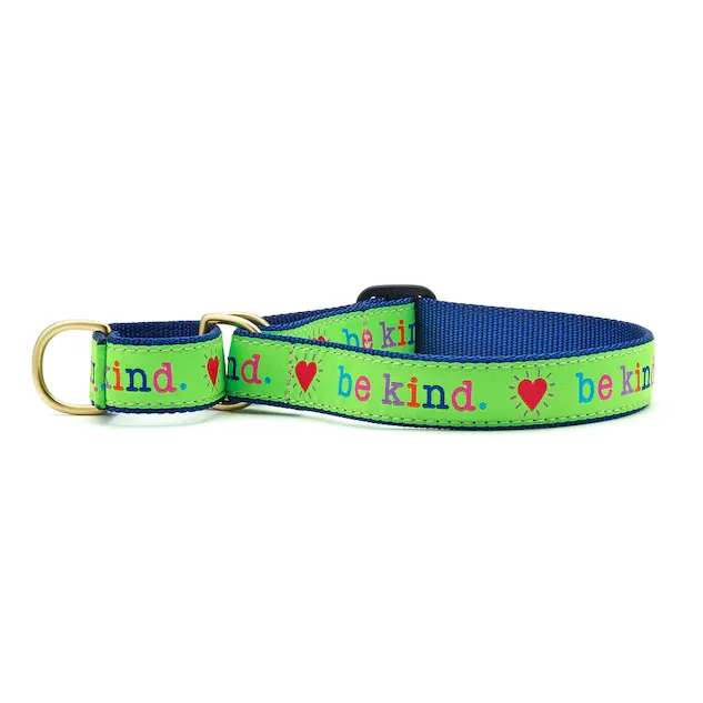 Martingale Collar | Be Kind