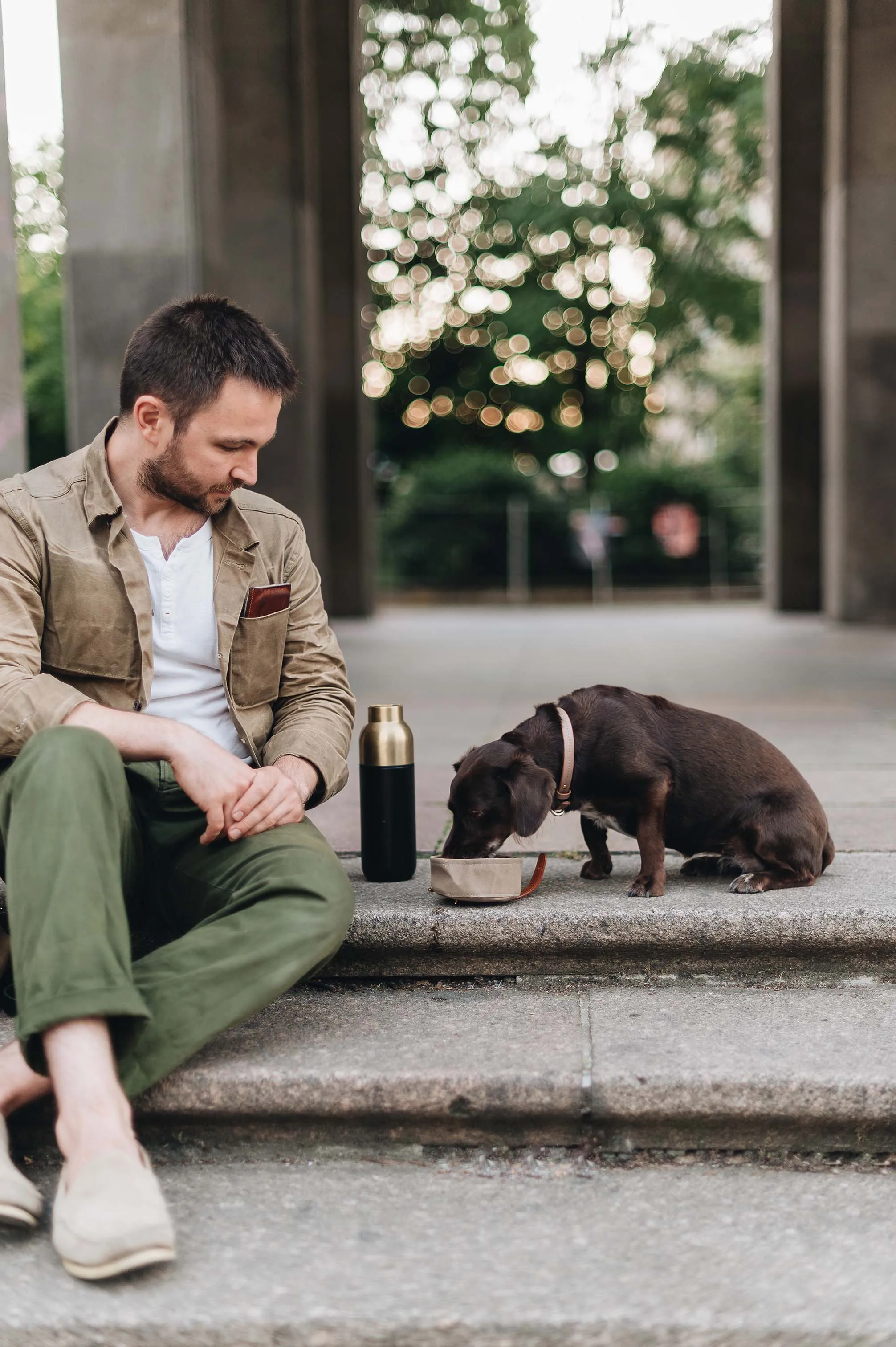 Melo Foldable Travel Dog Bowl (new design Melo)