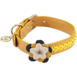 Petal Sunflower Dog Collar