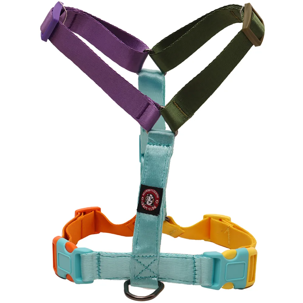 Pets Like Nylon Full Harness for Dogs (Rainbow Aqua Blue)