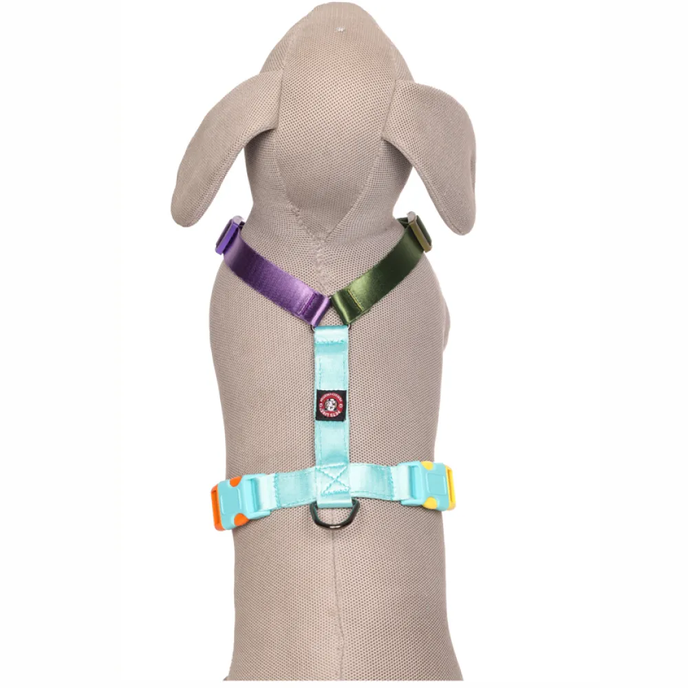 Pets Like Nylon Full Harness for Dogs (Rainbow Aqua Blue)