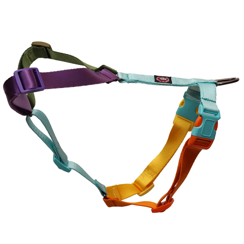 Pets Like Nylon Full Harness for Dogs (Rainbow Aqua Blue)