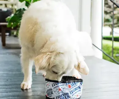 Portable Dog Bowl