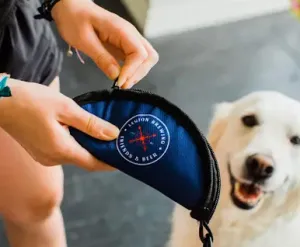 Portable Dog Bowl