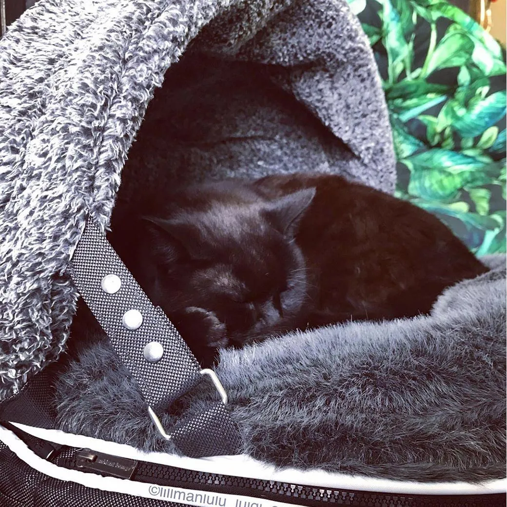 "Hoodie" Convertible Cat Bed