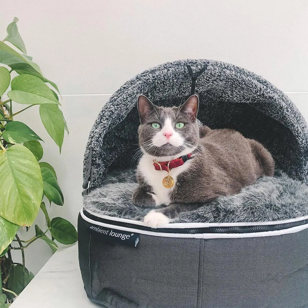 "Hoodie" Convertible Cat Bed