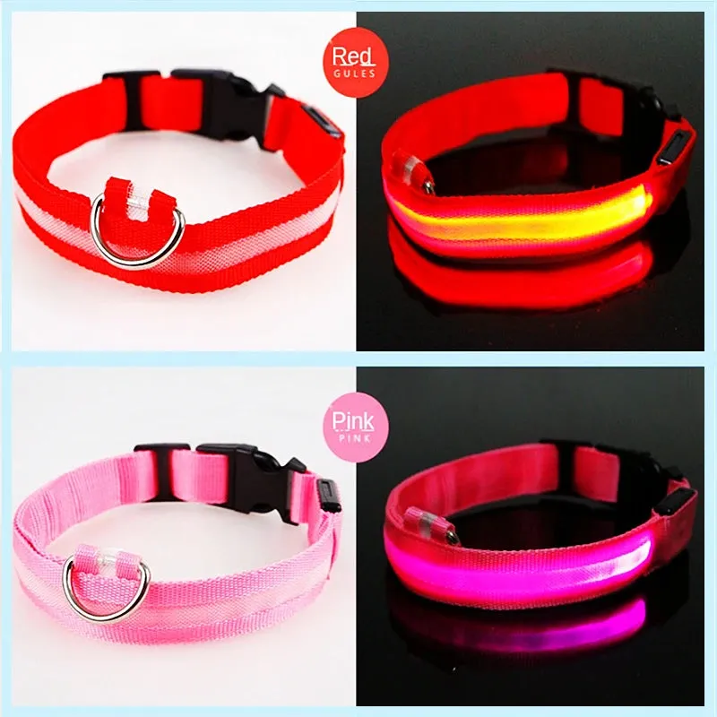 Rechargeable LED Dog Collar - Adjustable, Luminous Safety Collar for Pets