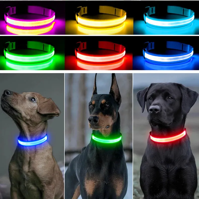 Rechargeable LED Dog Collar - Adjustable, Luminous Safety Collar for Pets