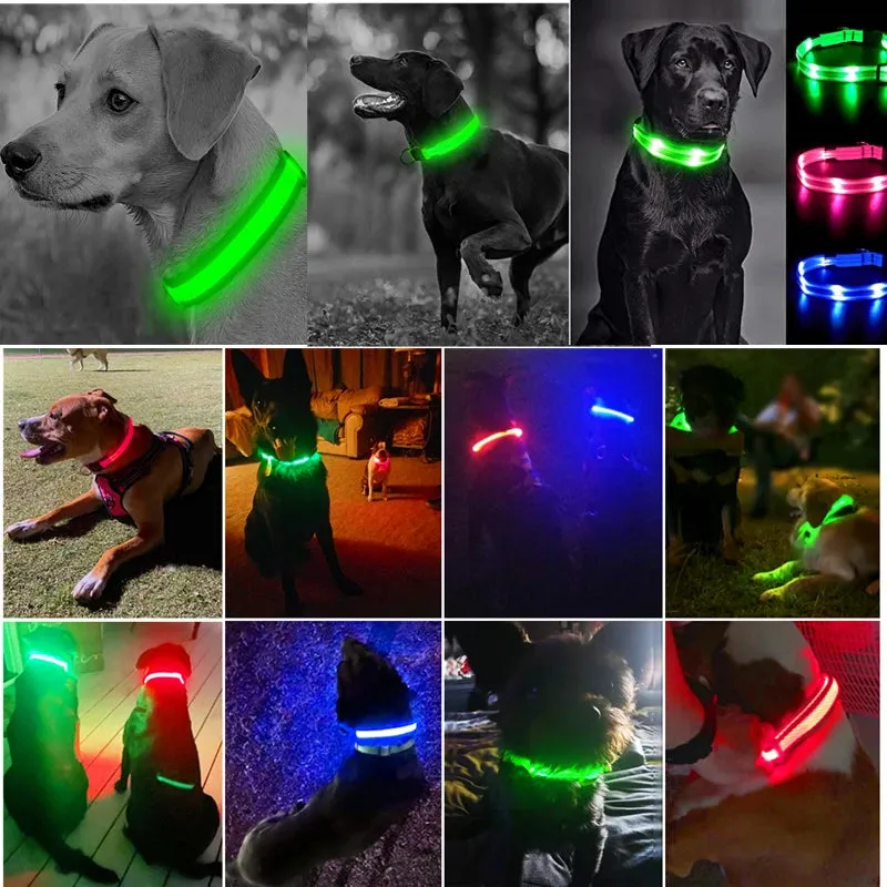 Rechargeable LED Dog Collar - Adjustable, Luminous Safety Collar for Pets