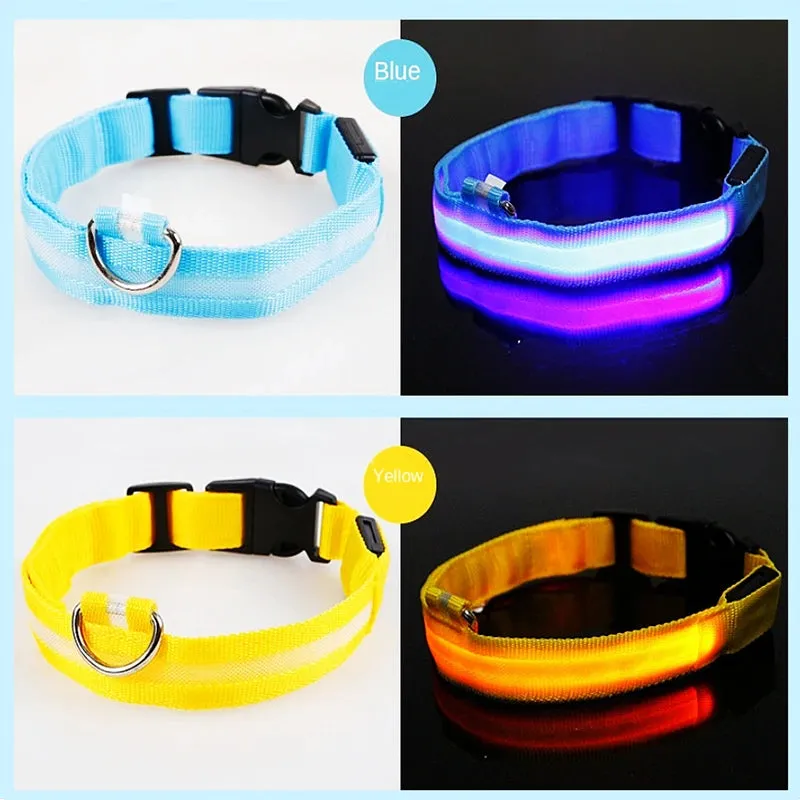 Rechargeable LED Dog Collar - Adjustable, Luminous Safety Collar for Pets