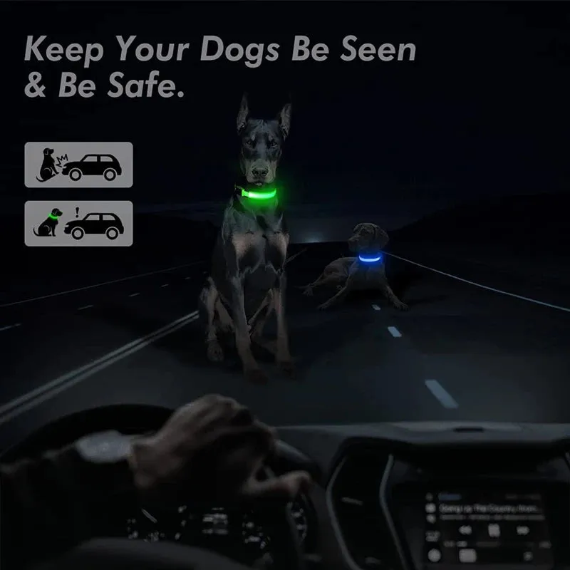 Rechargeable LED Dog Collar - Adjustable, Luminous Safety Collar for Pets