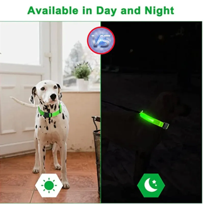 Rechargeable LED Dog Collar - Adjustable, Luminous Safety Collar for Pets