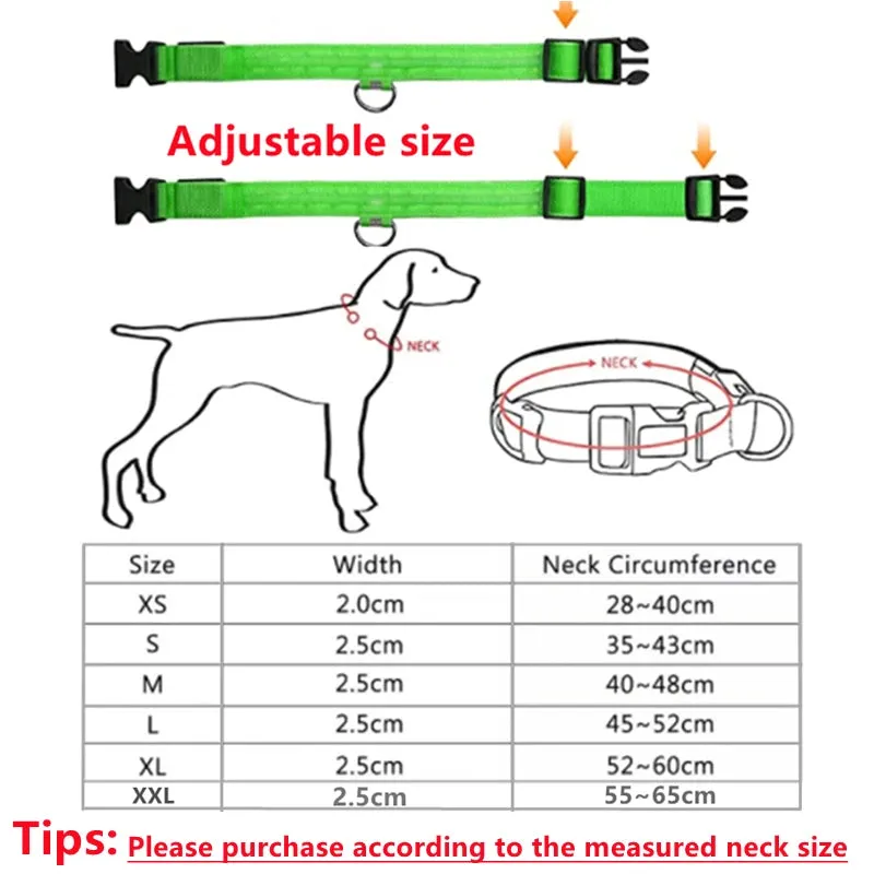 Rechargeable LED Dog Collar - Adjustable, Luminous Safety Collar for Pets