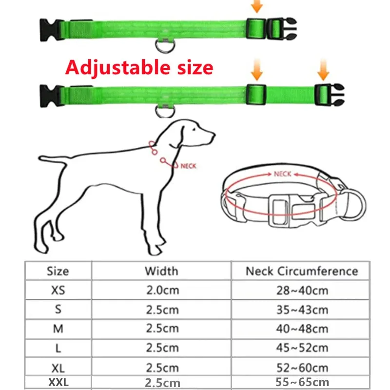 Rechargeable LED Dog Collar - Adjustable, Luminous Safety Collar for Pets