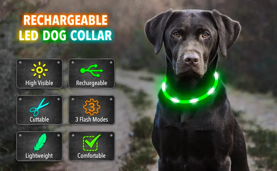 Rechargeable LED Dog Collar - Adjustable, Luminous Safety Collar for Pets