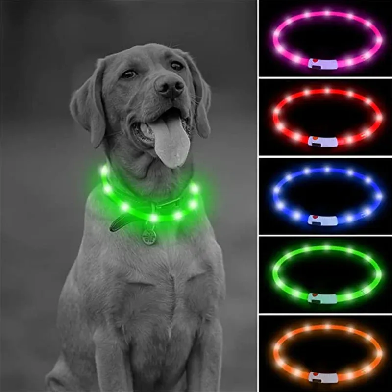 Rechargeable LED Dog Collar - Adjustable, Luminous Safety Collar for Pets