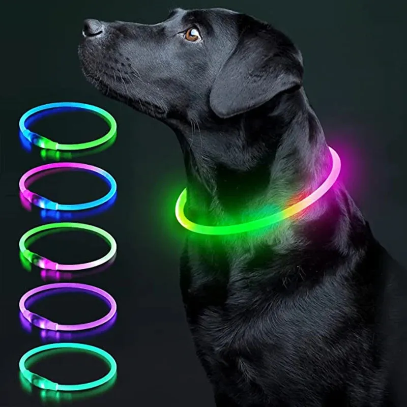 Rechargeable LED Dog Collar - Adjustable, Luminous Safety Collar for Pets