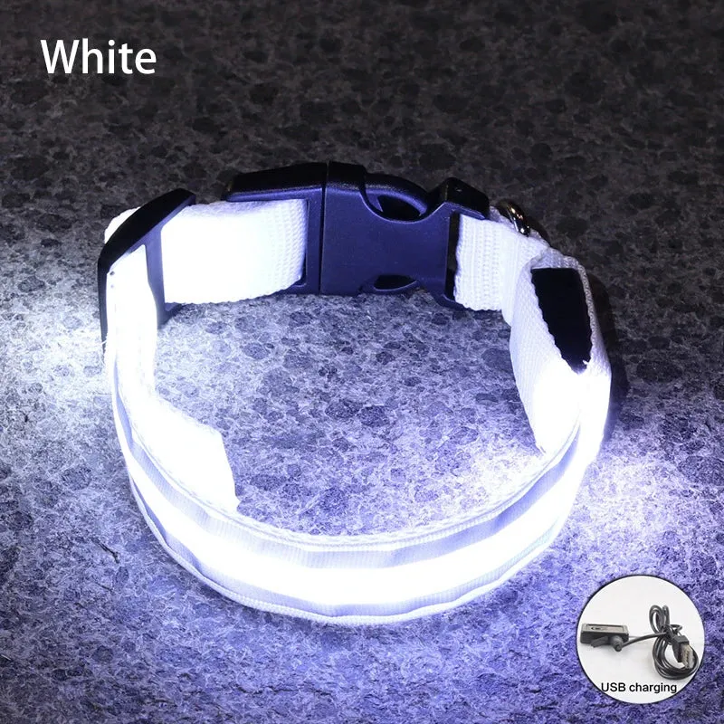 Reflective LED Dog Collar - USB Rechargeable and Button Battery Options