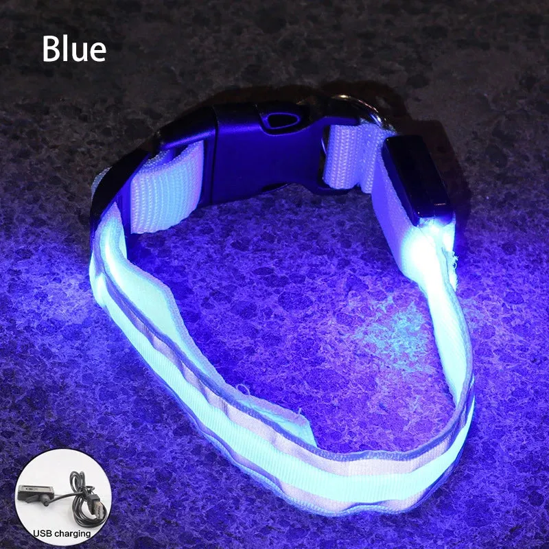 Reflective LED Dog Collar - USB Rechargeable and Button Battery Options