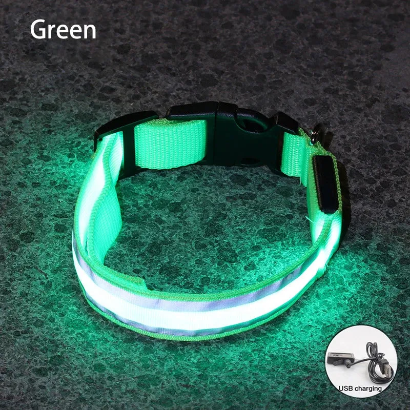 Reflective LED Dog Collar - USB Rechargeable and Button Battery Options