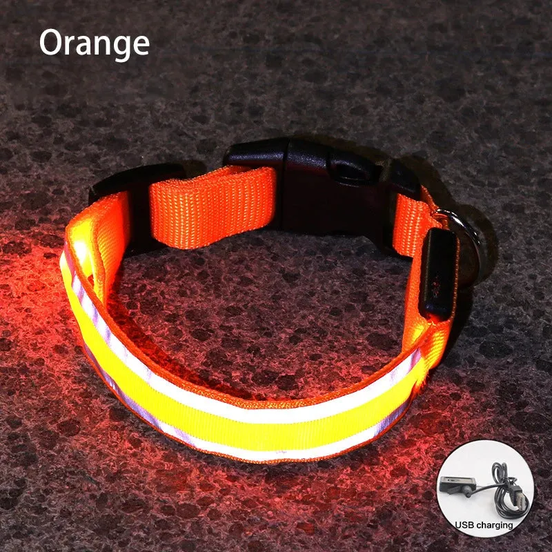 Reflective LED Dog Collar - USB Rechargeable and Button Battery Options