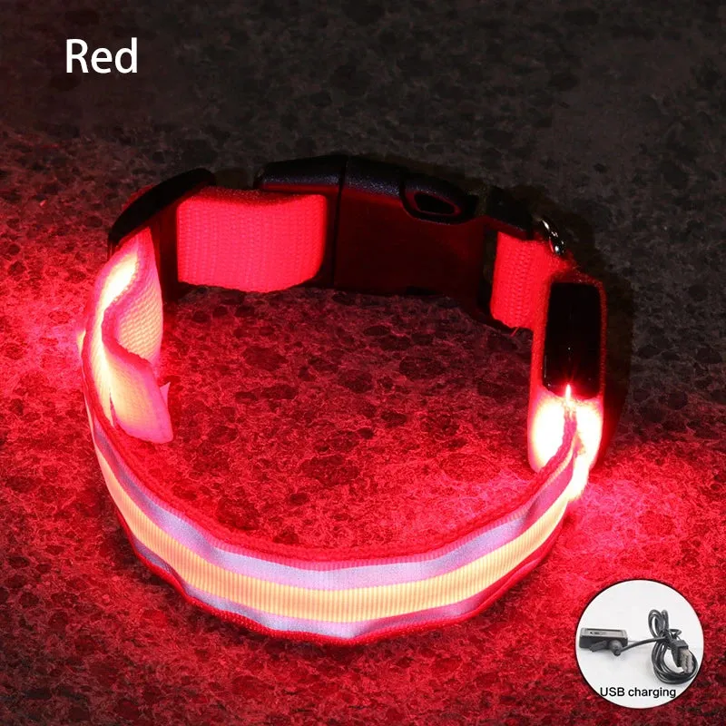 Reflective LED Dog Collar - USB Rechargeable and Button Battery Options